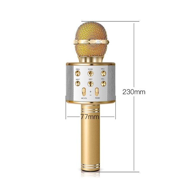 Бездротовий караоке мікрофон WS-858 - мініатюра 7
