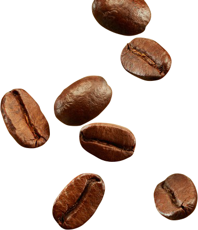 Електрична кавомолка Domotec MS-1406, 150W - мініатюра 3