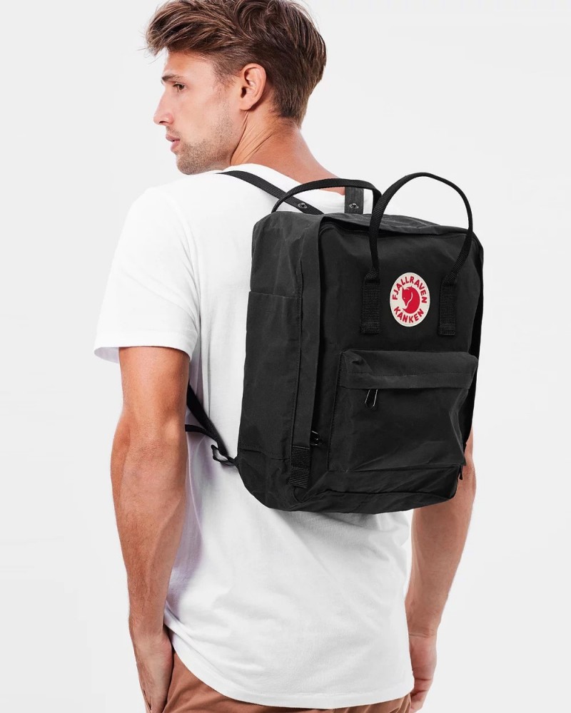 Рюкзак Fjallraven Kanken Classic 16 л