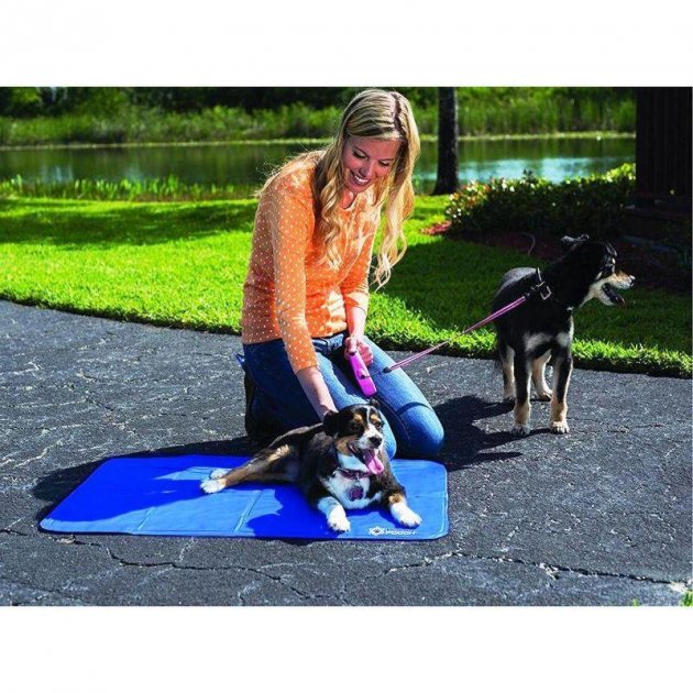 Товар 52114/9 - мініатюра 4