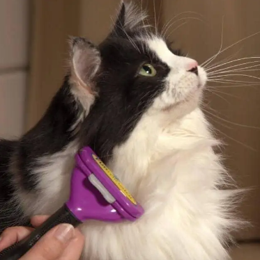 Фурмінатор FURminator М для вичісування вовни та підшерстка тварин для котів та собак, 6.8 см - мініатюра 4