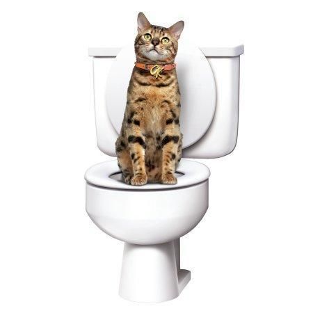 Система привчання котів до унітазу Туалет для кота Citi Kitty Cat Toilet Training - мініатюра 3