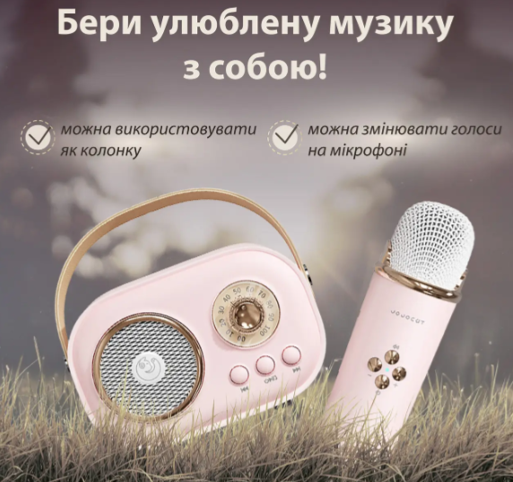 Акустична система «RETRO» з мікрофоном ∙ Бездротова портативна Bluetooth колонка на акумуляторі ∙ Міні-караоке - мініатюра 7