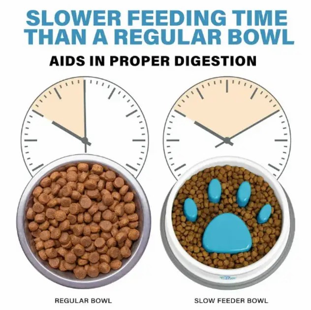 Годівниця для повільної подачі їжі Paw Perfect для котів та собак - мініатюра 3