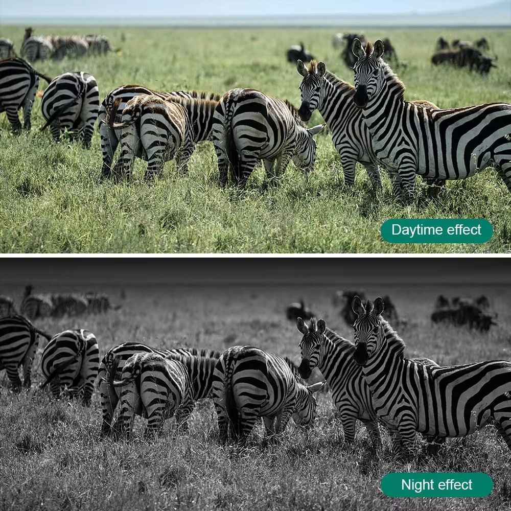 Фотопастка для полювання, охорони з датчиком руху DL001 - мініатюра 5