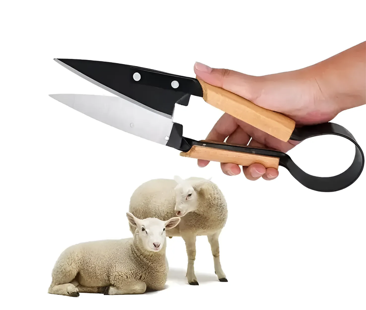 Металеві ножиці з дерев'яними ручками для стрижки вовни · Ручні ножиці для стрижки вовни