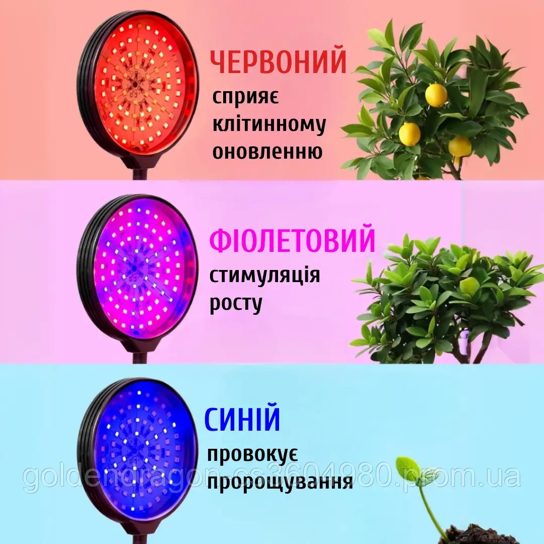 Фітолампа для рослин із таймером і регулюванням яскравості - мініатюра 5