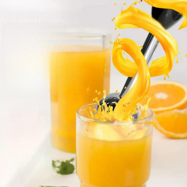 Занурювальний блендер Hoffmans 800W HM-8034 - мініатюра 9