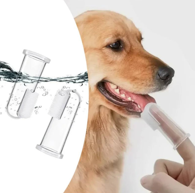 Набір інструментів для догляду за домашніми тваринами 6 в 1 - мініатюра 2