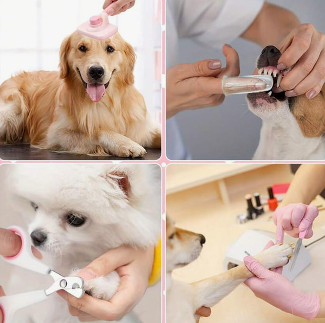 Набір інструментів для догляду за домашніми тваринами 6 в 1 - мініатюра 4