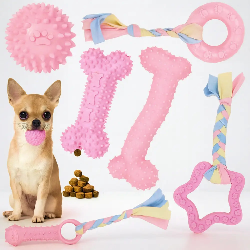 Іграшковий набір для собак 6 в 1 • Яскраві та безпечні іграшки для активних ігор і розвитку