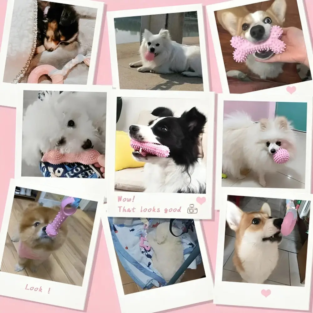 Іграшковий набір для собак 6 в 1 - мініатюра 4