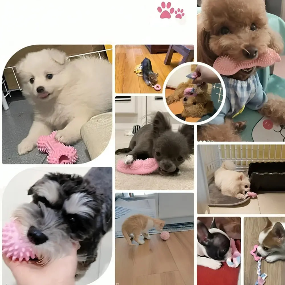 Іграшковий набір для собак 6 в 1 - мініатюра 7