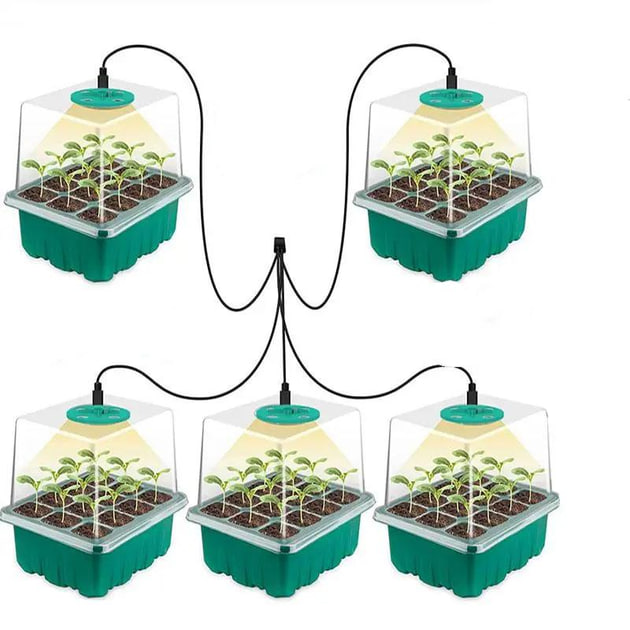 Набір для вирощування розсади з LED підсвічуванням • Міні-тепличка з підсвіткою для дому