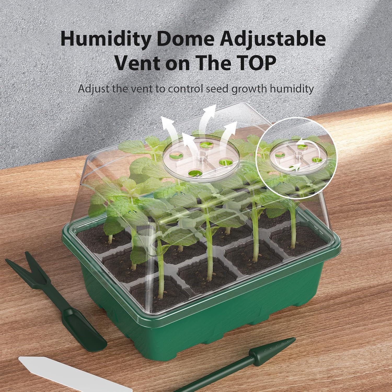 GrowBox для пророщування рослин з LED-підсвічуванням - мініатюра 3
