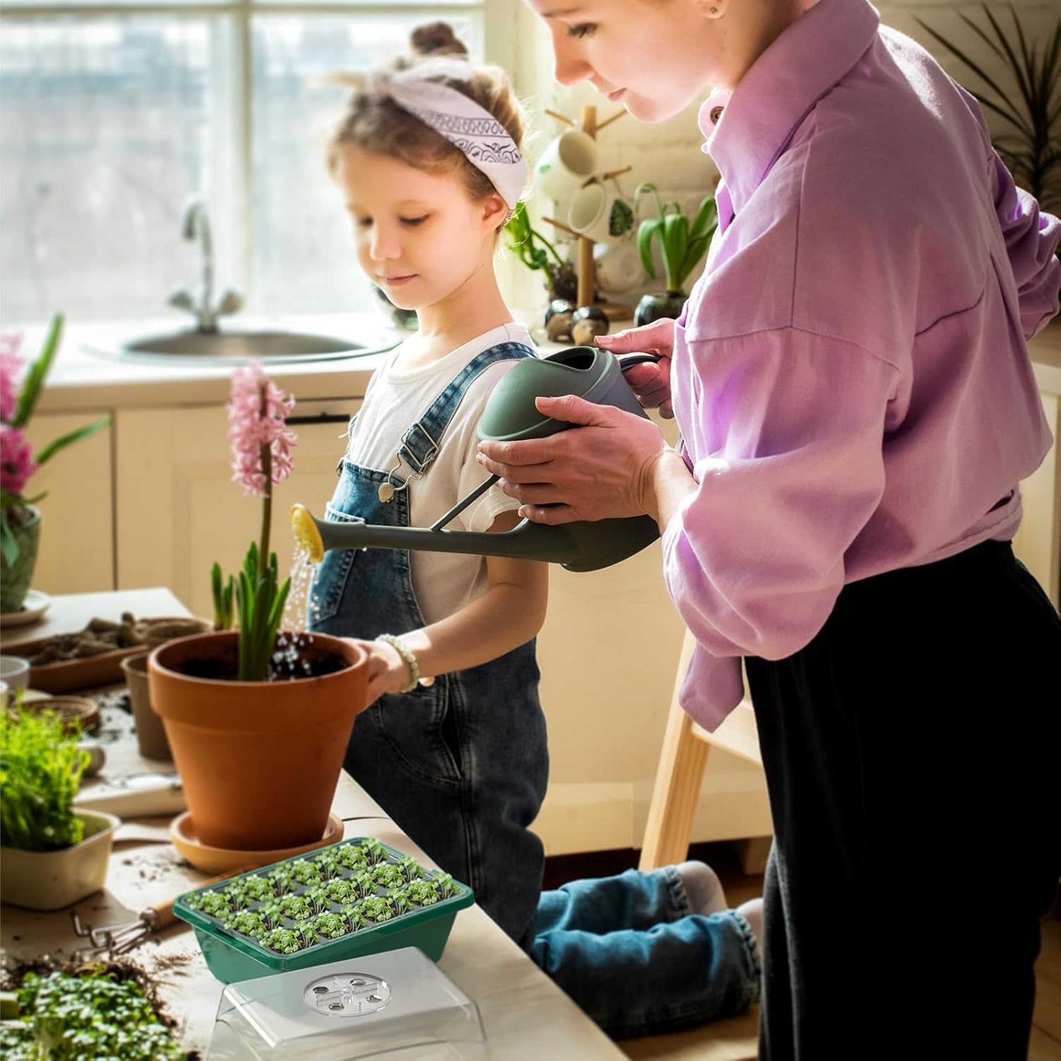 GrowBox для пророщування рослин з LED-підсвічуванням - мініатюра 9