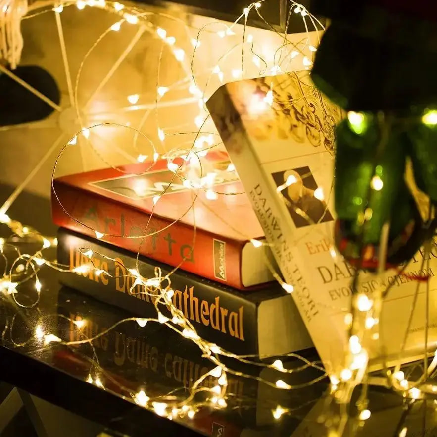 Універсальна гірлянда 10м Батарейка+USB тепле світло 300 LED ∙ Гірлянда Батарейка+USB лісочка 10м з 300 LED - мініатюра 5