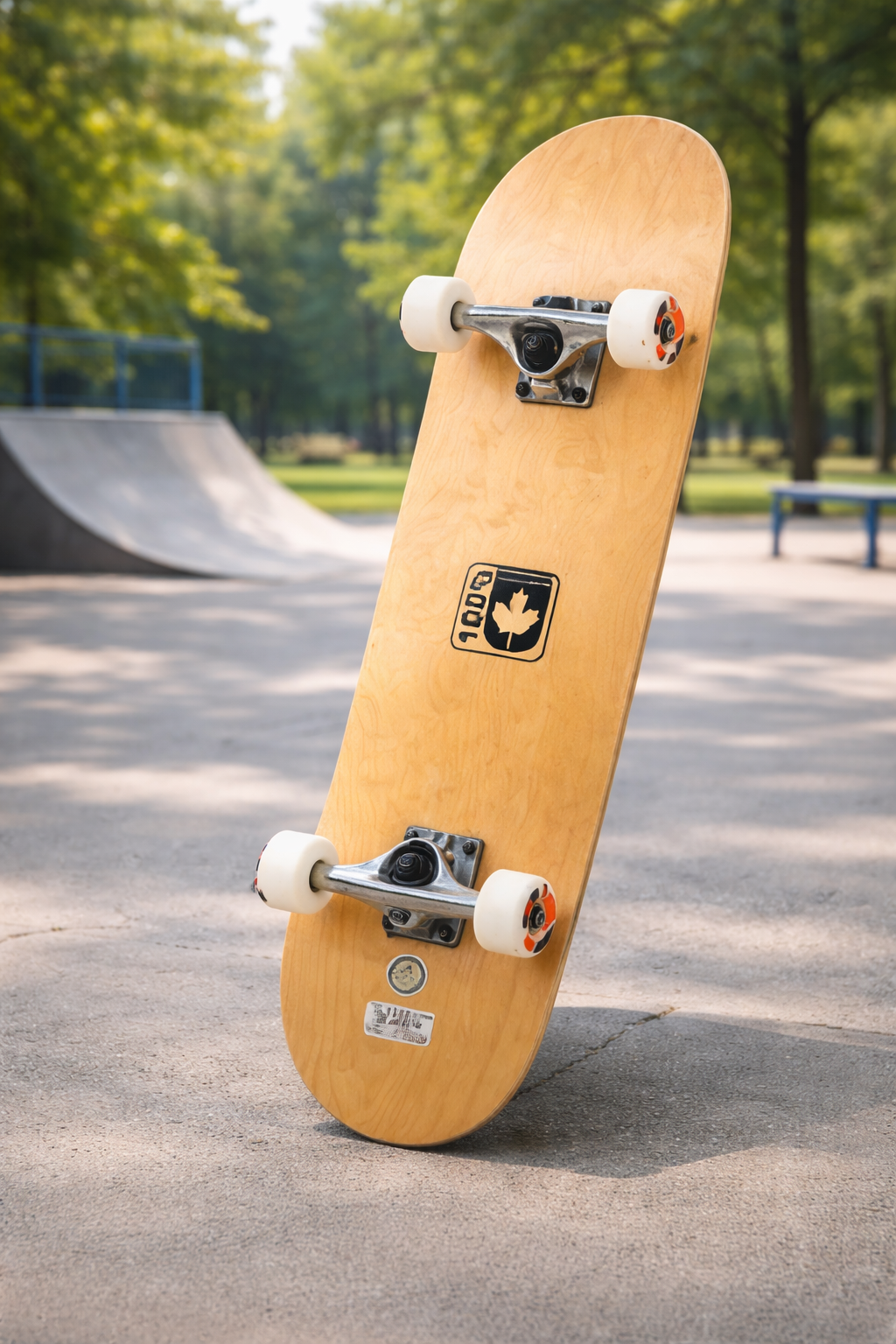 Класичний скейтборд Canada для дітей, підлітків і перших навичок - мініатюра 5