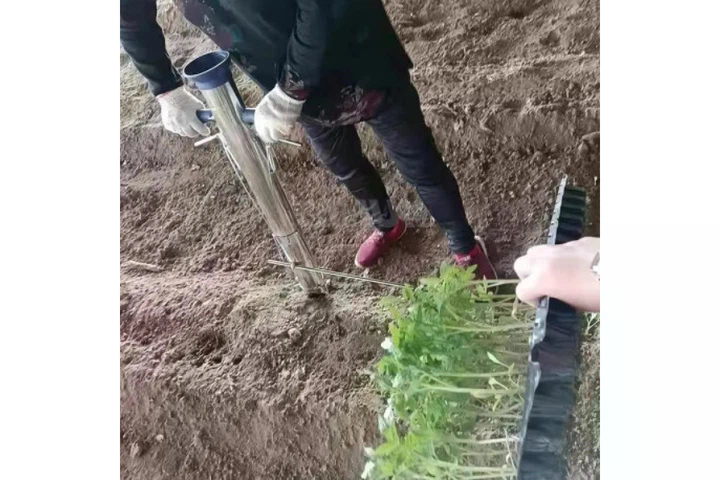 Трубчаста саджалка для розсади з пружиною та дозатором - мініатюра 4