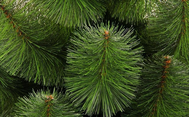 Товар 20323 - мініатюра 2